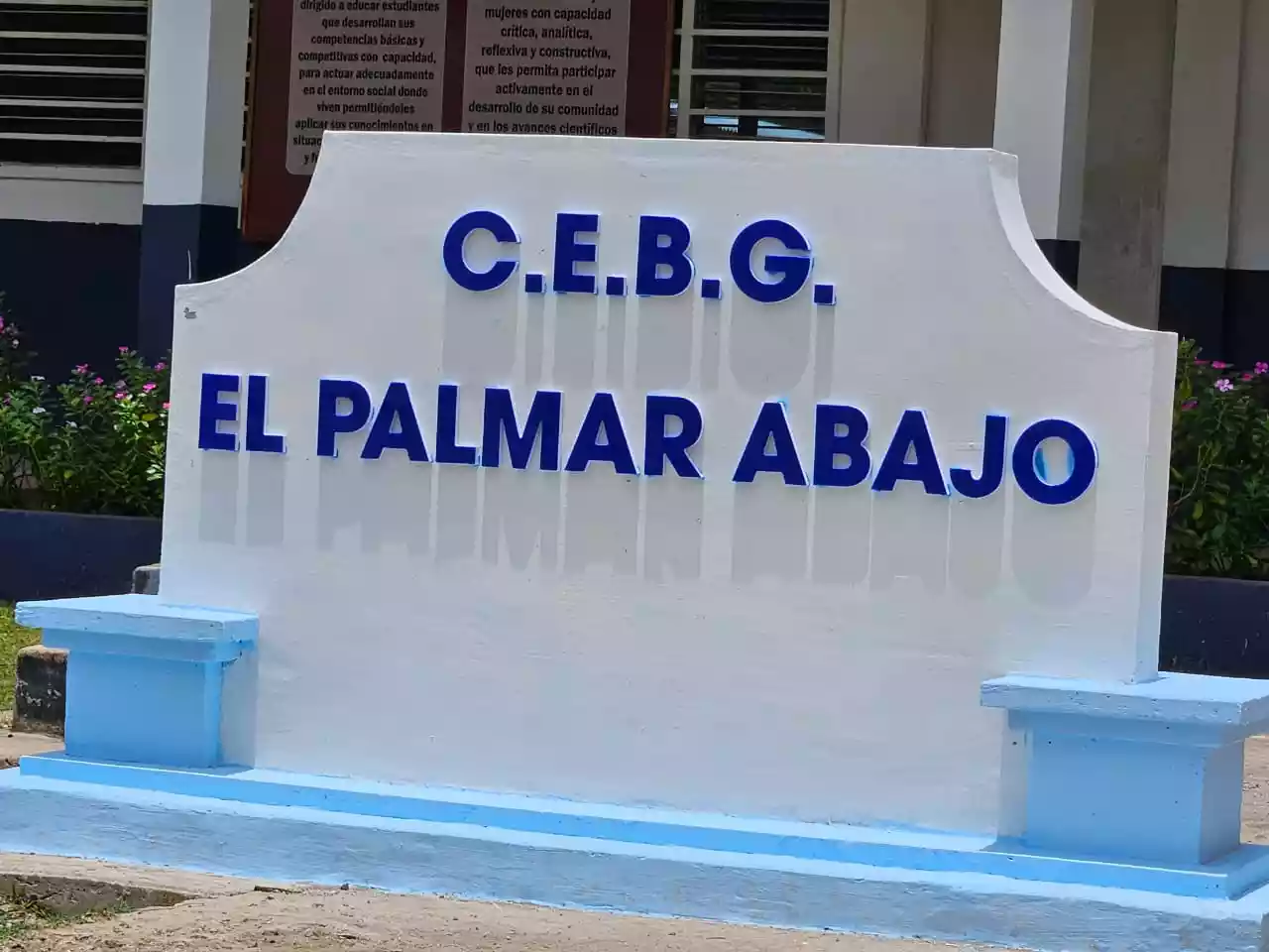 PALMAR ABAJO6